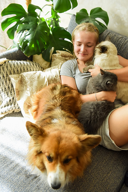 1000056586_medium2.jpg?webp=0